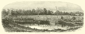 The Wheat-field where Reynolds fell, July 1863 by American School
