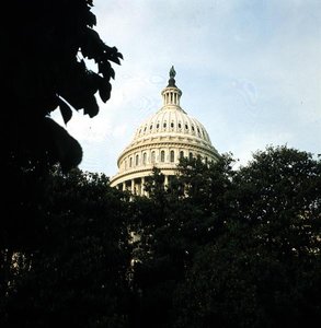 The dome of The Capitol by American School