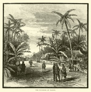 The Environs of Saigon by American School