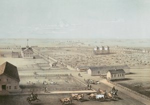 Union Stockyards, Chicago by American School