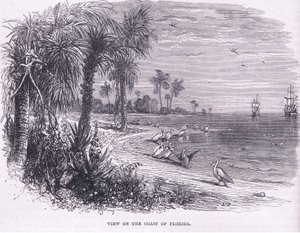 View of the coast of Florida, illustration from Cassell