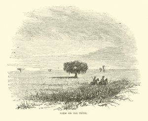 View on the Teche by American School