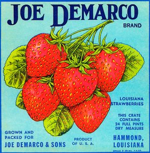 Vintage Strawberries Fruit Crate Label