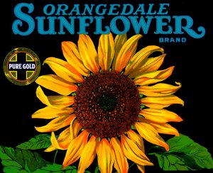 Vintage Sunflower Fruit Crate Label by American School