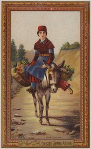 Woman Riding on Donkey