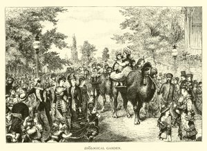 Zoological Garden