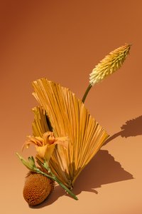Ikebana 02, 2018