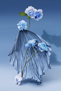 Ikebana 03, 2018