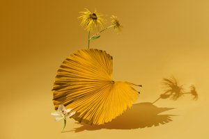 Ikebana 05