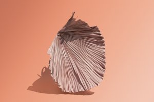 Ikebana 07, 2018