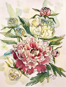 Blooming Peony Garden