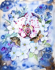 Dreamy Orchid Moths