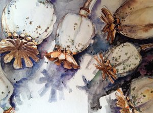 Dried Poppy Pods Watercolor by Anda Bieza