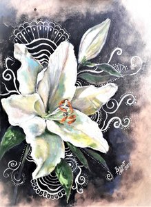 Elegant White Lily Bloom by Anda Bieza