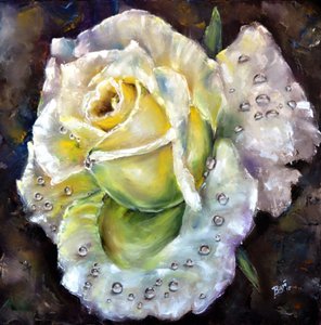 Fresh Dewy Rose by Anda Bieza