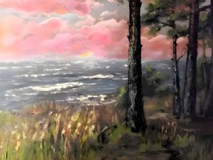 Pink Sky Ocean Sunset