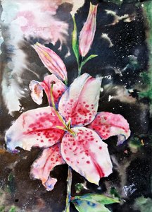 Stargazer Lilies Night by Anda Bieza