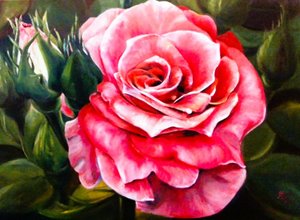Vibrant Pink Rose Bloom by Anda Bieza