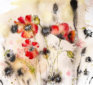 Wild Poppy Watercolor