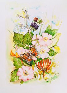 Wildflower Butterfly Garden