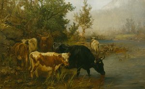 Cows by the Water by Anders Askevold
