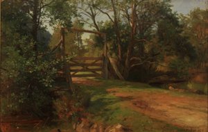 Forest Scene from Svanø in Sandefjord by Anders Askevold