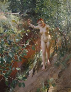 Red Sand by Anders Leonard Zorn