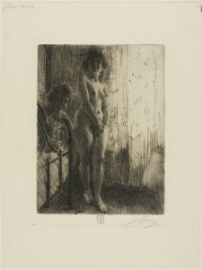 A Dark Corner by Anders Leonard Zorn
