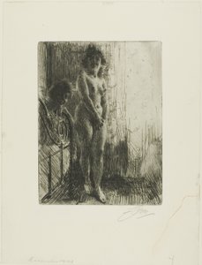 A Dark Corner by Anders Leonard Zorn