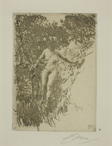 Brushwood by Anders Leonard Zorn