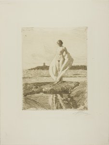 The Swan by Anders Leonard Zorn