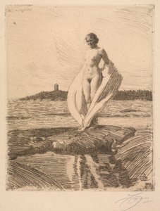 The Swan by Anders Leonard Zorn
