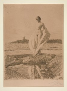 The Swan by Anders Leonard Zorn
