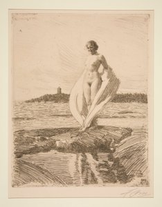 The Swan by Anders Leonard Zorn