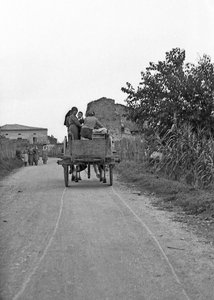 Bitter Grapes - Going to and Back from Work by Ando Gilardi