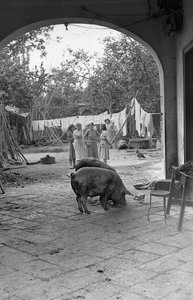 Hemp Processing, The Other Side of the Courtyard