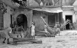 Hemp Processing, The Paranza of the Maciullatori