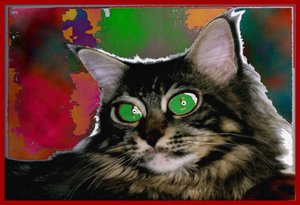 Stregattone by Ando Gilardi