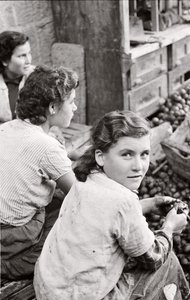 The Smile of a Young Girl Hulling Walnuts, Quaglino, Naples, Italy, c.1955