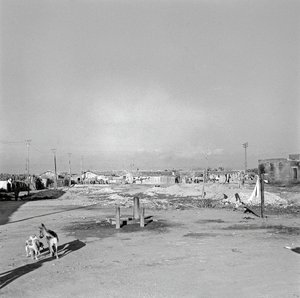 Working District, Crotone