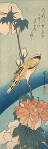 A Black-Naped Oriole on a Stem of Rose Mallow by Ando Hiroshige