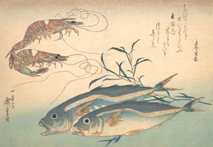 Aji Fish and Kuruma-ebi, from the series Every Variety of Fish, 1830s