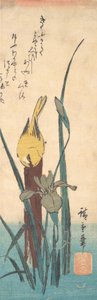 Bird and Iris by Ando Hiroshige
