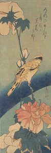 Black-naped Oriole Perched on a Stem of Rose Mallow by Ando Hiroshige
