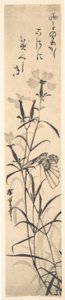 Black and White Print of Butterfly and Flower