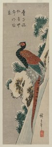 Copper Pheasant by Snowy Waterfall, Late 1830s or Early 1840s by Ando Hiroshige