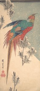 Golden Pheasant and Pine Shoots in Snow, ca. 1835 by Ando Hiroshige