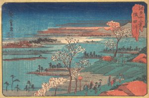 Gotenyama-no Hana