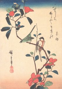 Japanese White-eye and Titmouse on a Camellia Branch