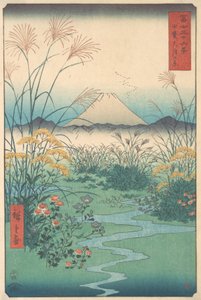 Kai, Otsuki no Hara, 4th Month Horse Year 1858